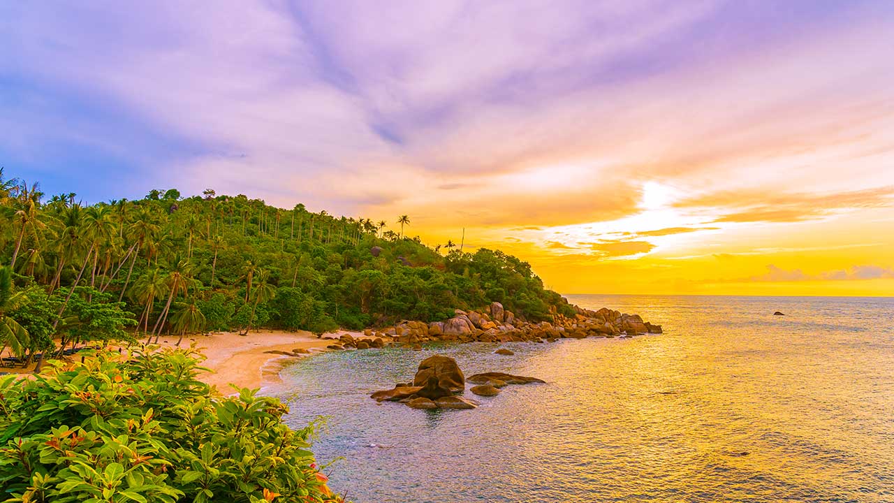 Scenic Beaches and Viewpoints