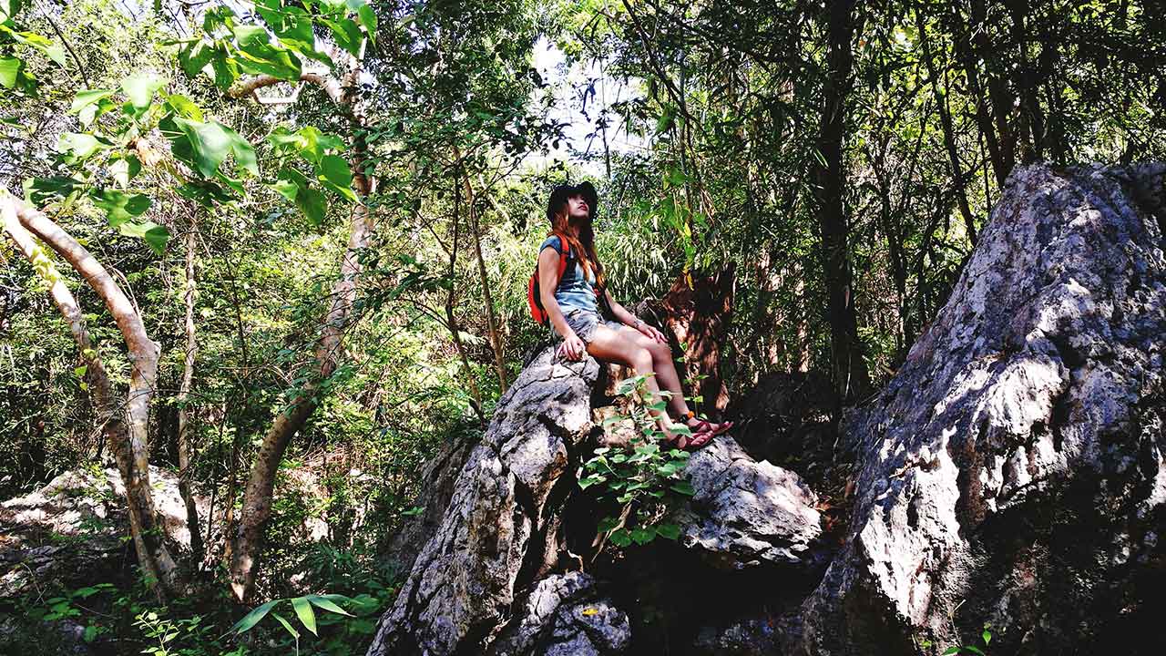 Adventure Awaits: Thrills in the Wild