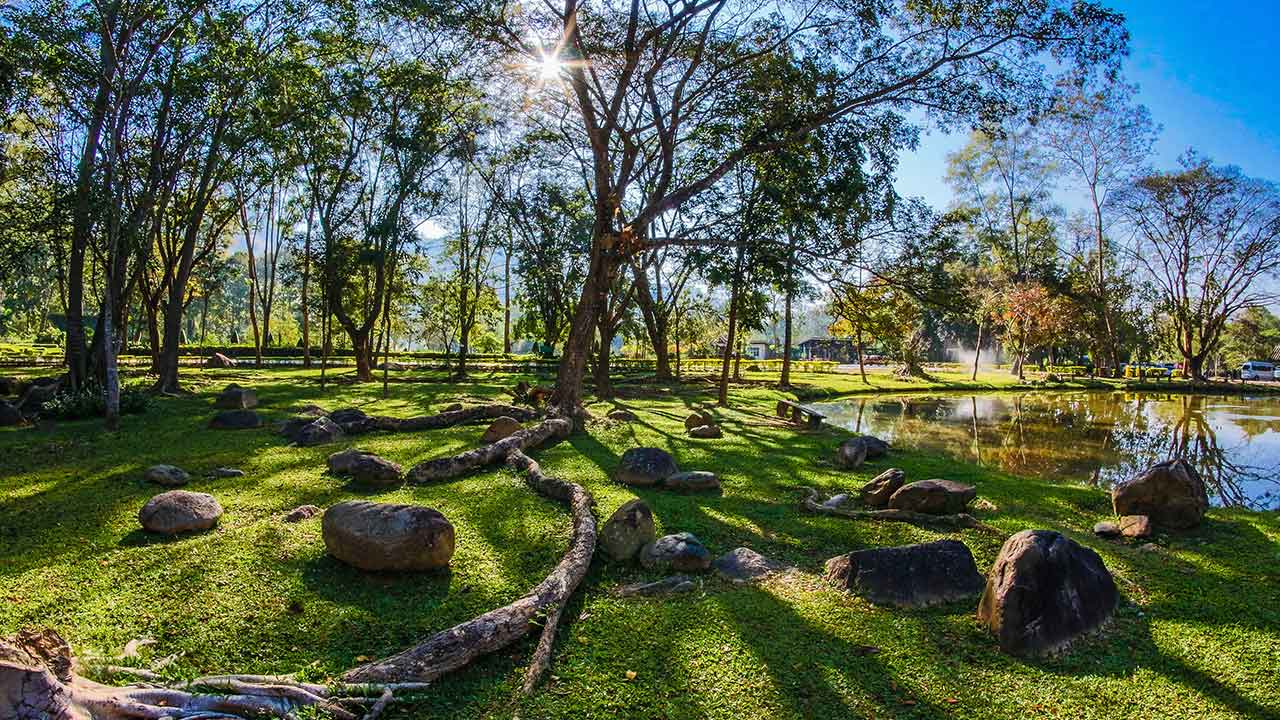 Tranquil Parks & Nature Reserves