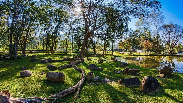 Best Parks and Gardens