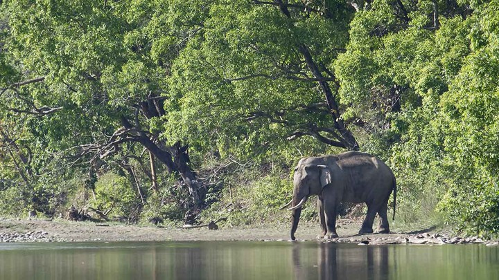 Nature Reserves and Wildlife Sanctuaries